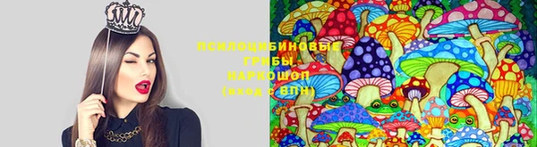 spice Мегион