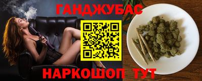 крисы Абакан