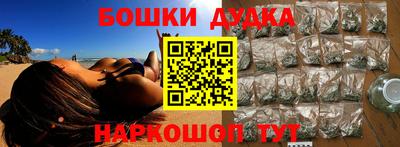 крисы Абакан