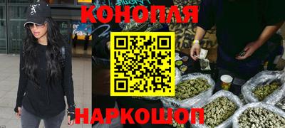 крисы Абакан