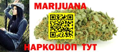 крисы Абакан