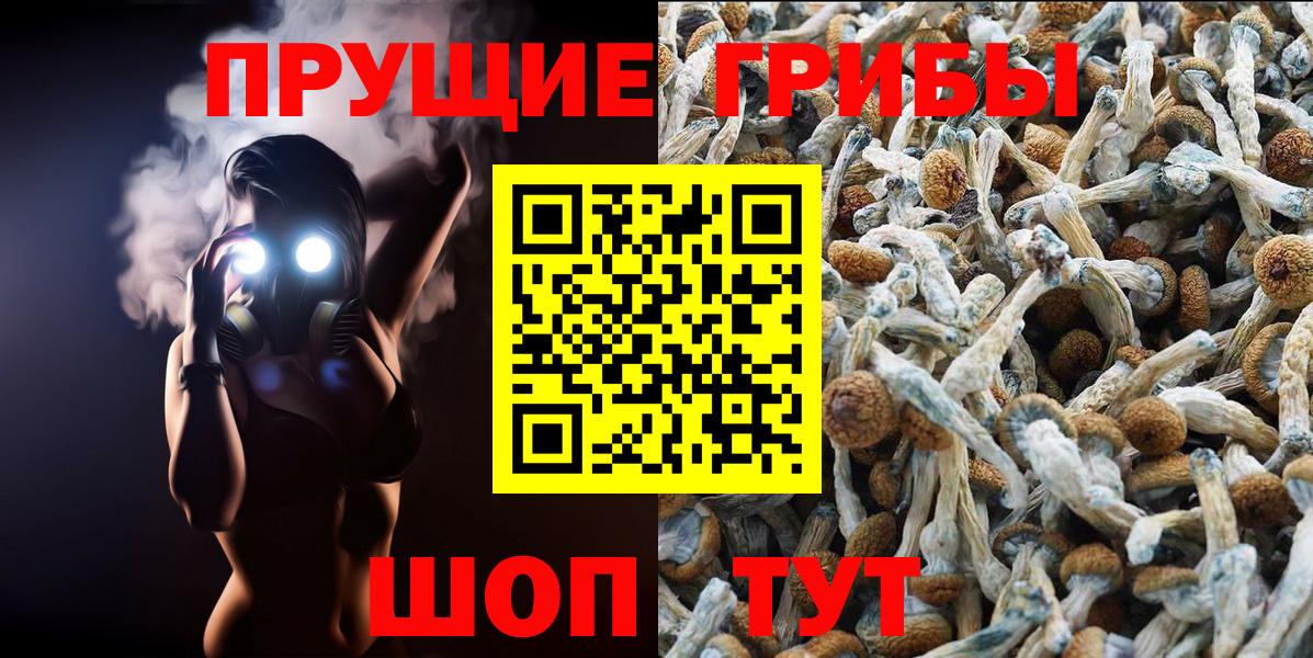 Псилоцибиновые грибы мухоморы  Вход с VPN  Галлюциногенные грибы прущие грибы  Златоуст 