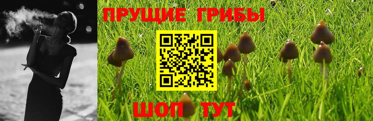 Псилоцибиновые грибы Magic Shrooms Златоуст