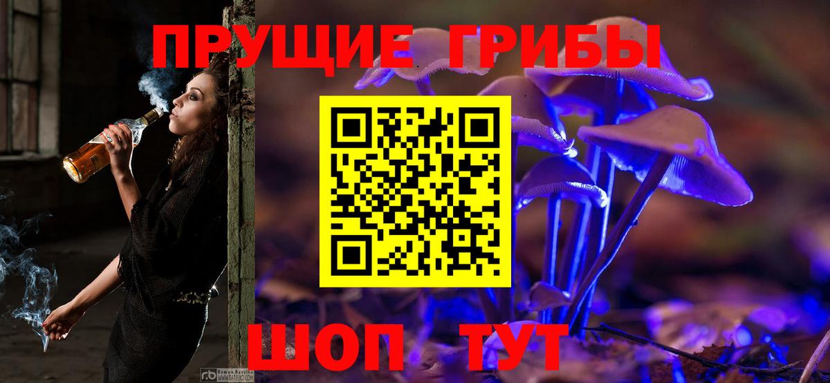 Псилоцибиновые грибы Psilocybe Златоуст
